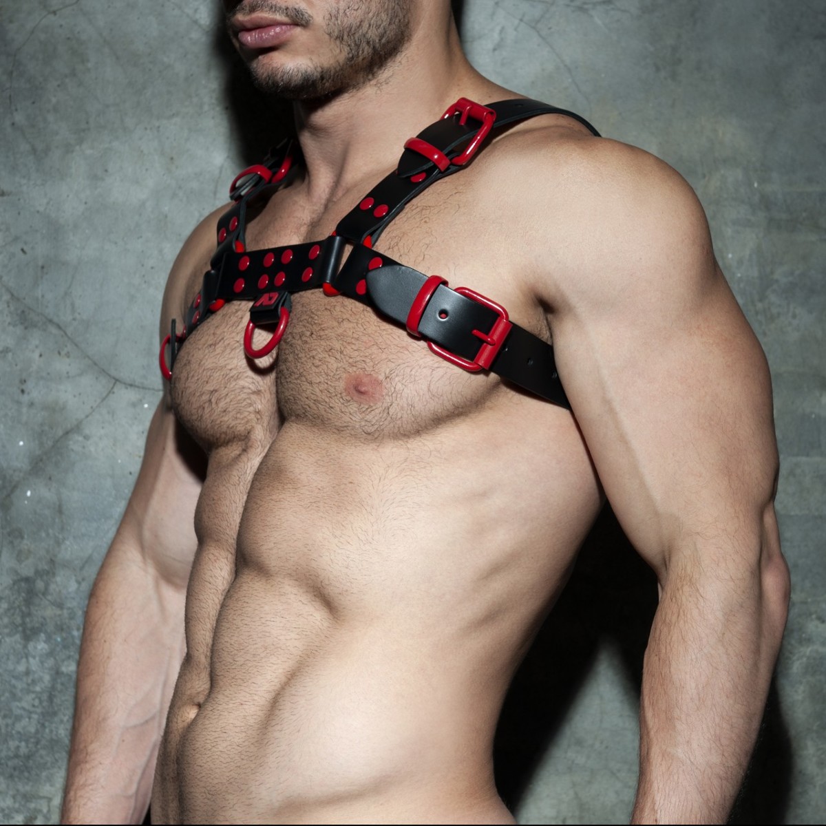 AD Fetish Leather Color Harness red
